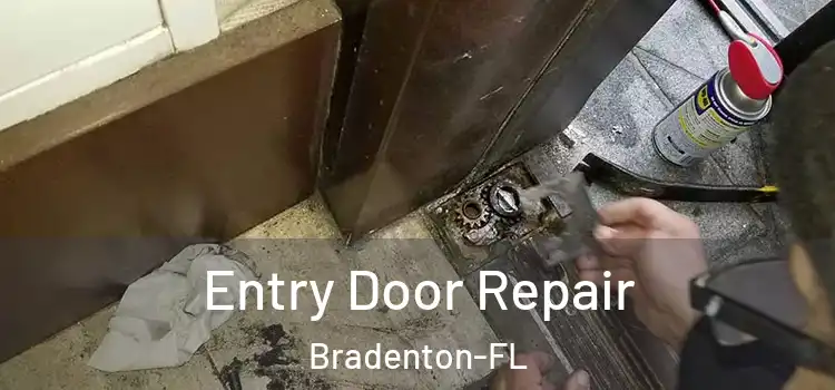  Entry Door Repair Bradenton-FL