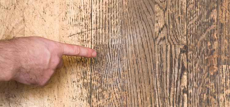 Wood Door Scratch Repair in Bradenton