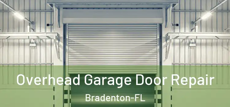  Overhead Garage Door Repair Bradenton-FL